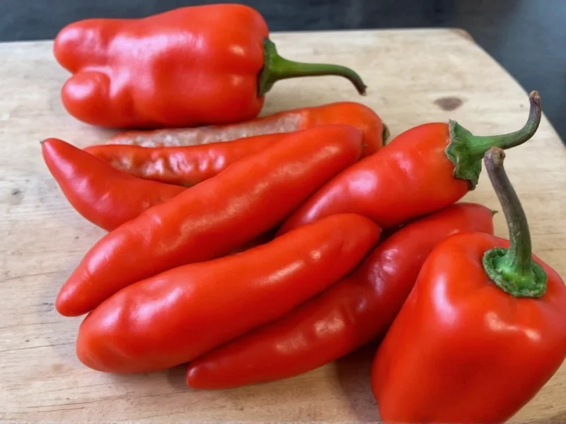 How to Store Habanero Peppers: 5 Effective Methods