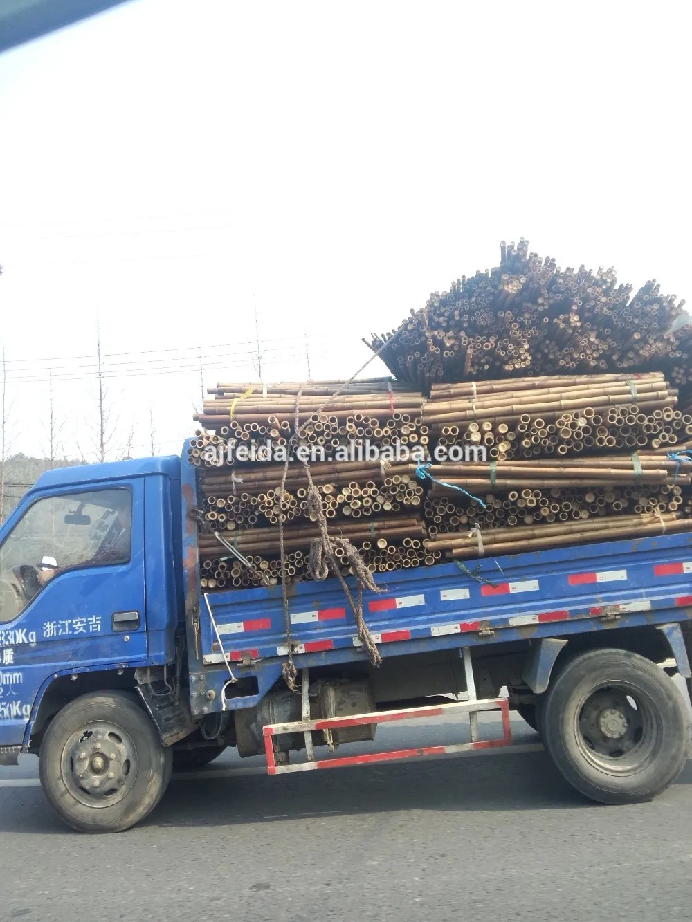 natural/cheap/raw eco-friendly bamboo poles