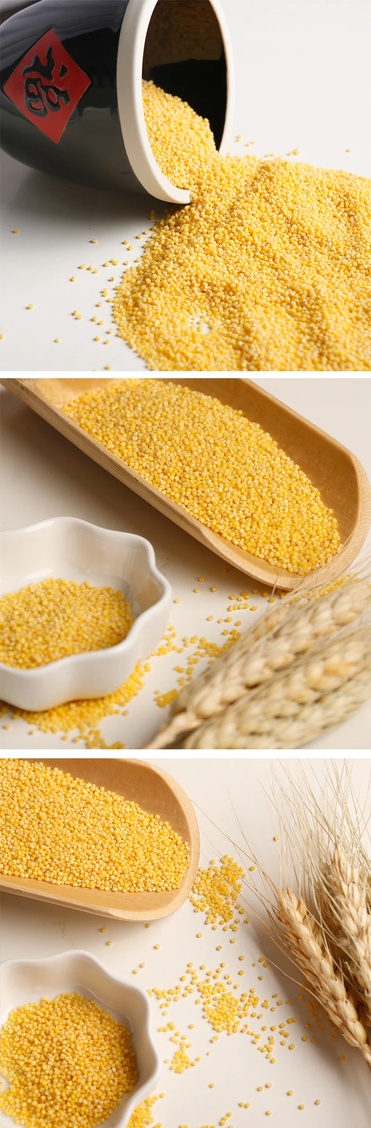 High Quality Seed Moulin Pour Yellow Millet With Good Price