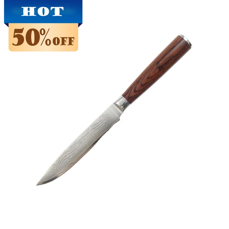 

OEM/Custom 5 inch Forge Damascus Chef Knife 67 layers Japanese Damascus steel qualitied kitchen knife utility knife