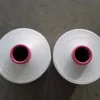 Free Sample Most Popular 450D/192F LIM TBR Polyester Blanket DTY yarn