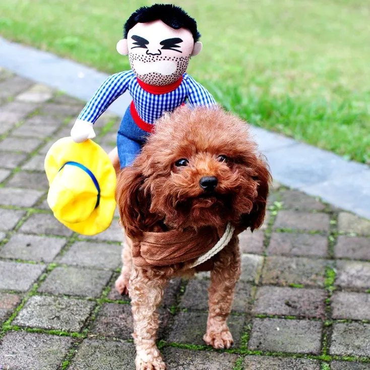 

Pet disguise horse riding cartoon cowboy funny dog clothes