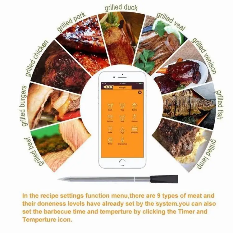 probe thermometer