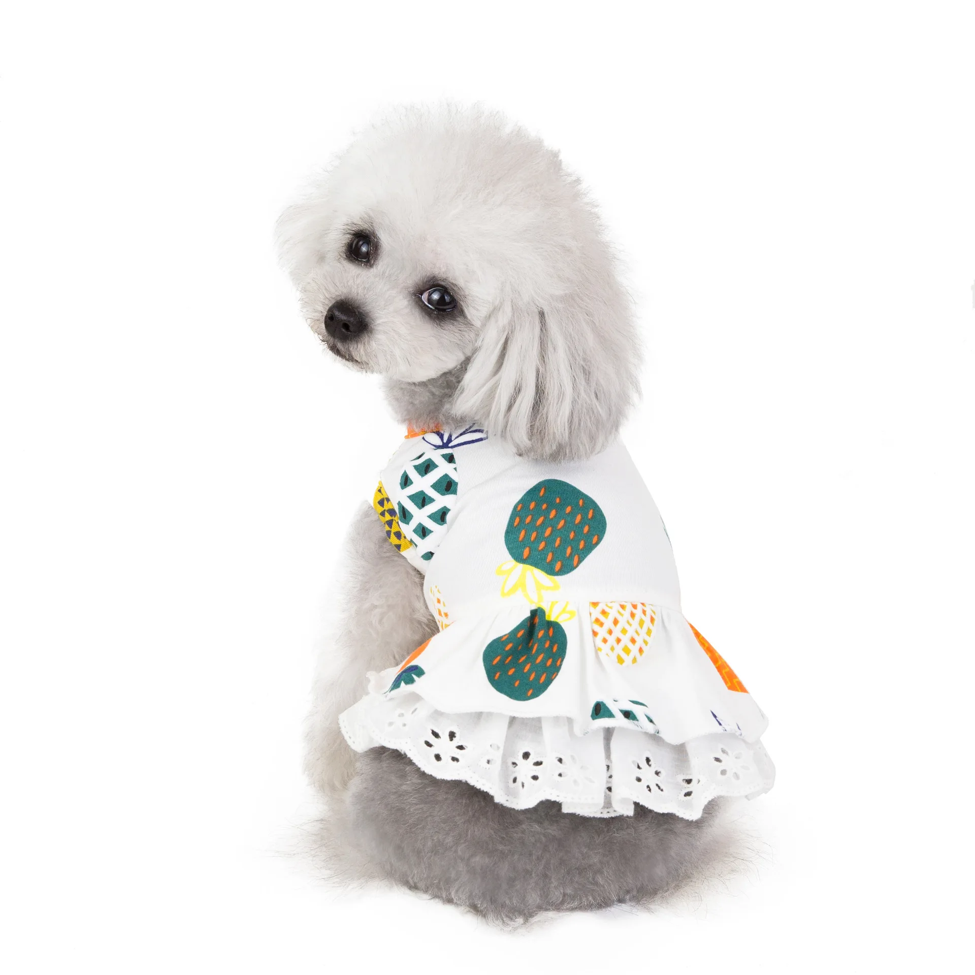 

SYT20-Pet sundress for spring and summer, Colorful