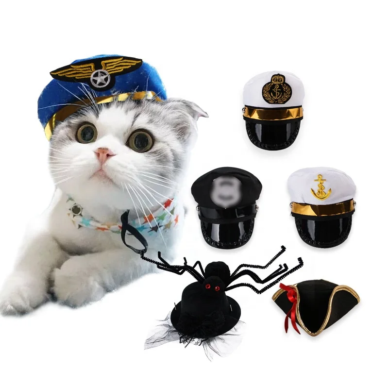 

Creative design Halloween puppy hat spoof pet hat cat hat stock