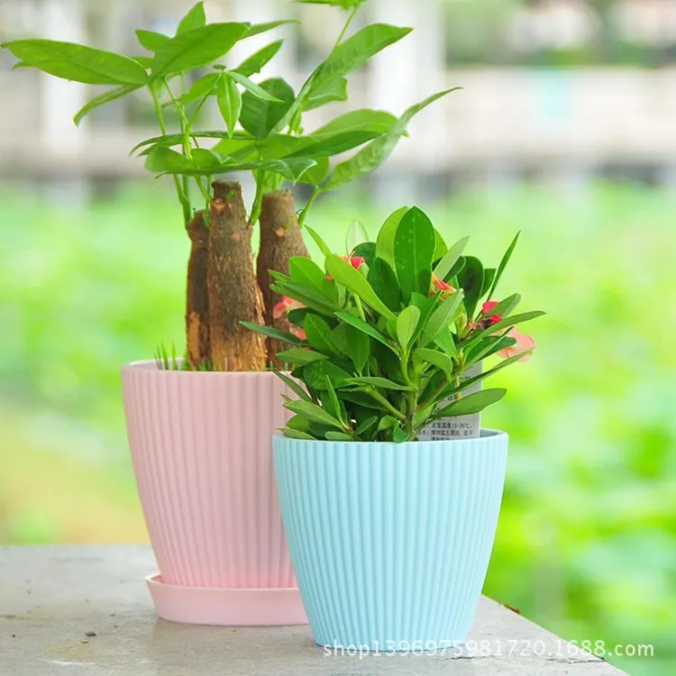 

Classic Flower Pot Indoor Planter Wholesale Gift Decor VASE Floor Plant Small Kits Planting pot Blue Pink, White