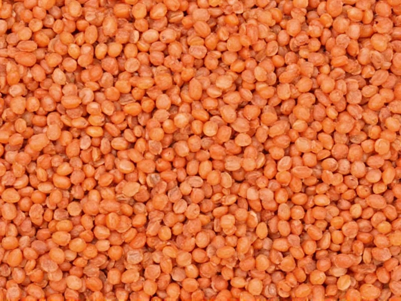 Red Lentils Nutritional Facts: Complete Profile & Benefits