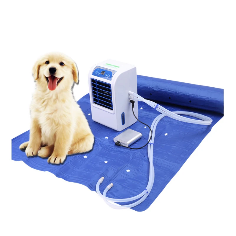 

Amazon Pet Dog Cooling Mat Pad Electric Gel Dog Cooling Mat Comfortable Summer Cool Sleep, Blue