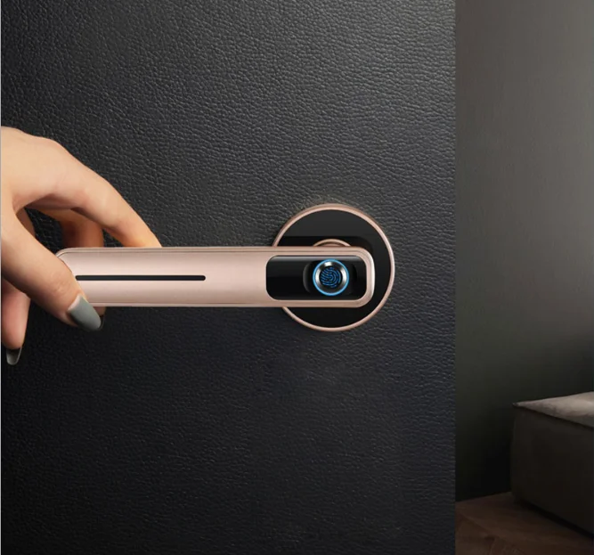 Smart Fingerprint Biometric Simple House Office Using Electronic Door Lock