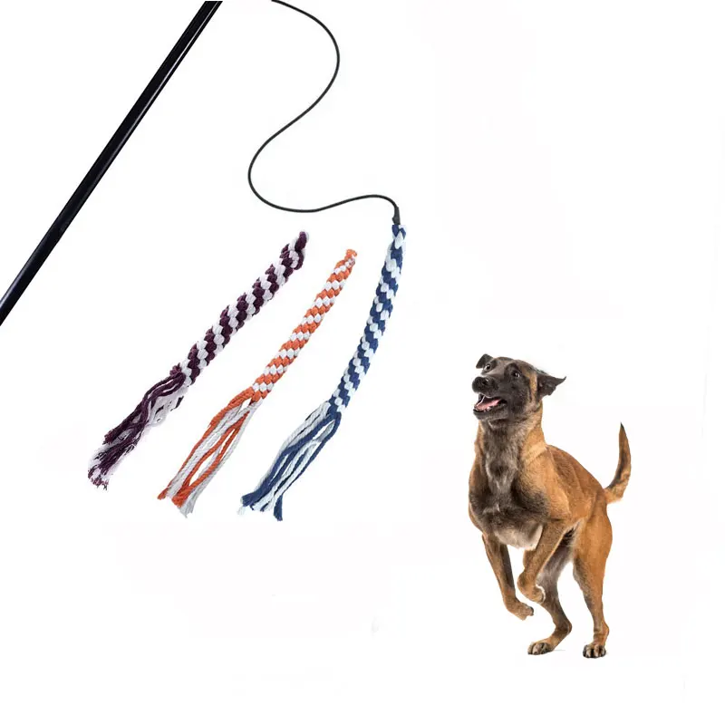 

Amazon Hot Selling Custom Logo Funny Chasing Tail Teaser Wand Exerciser Interactive Pet Toys Extendable Dog Flirt Pole For Dogs