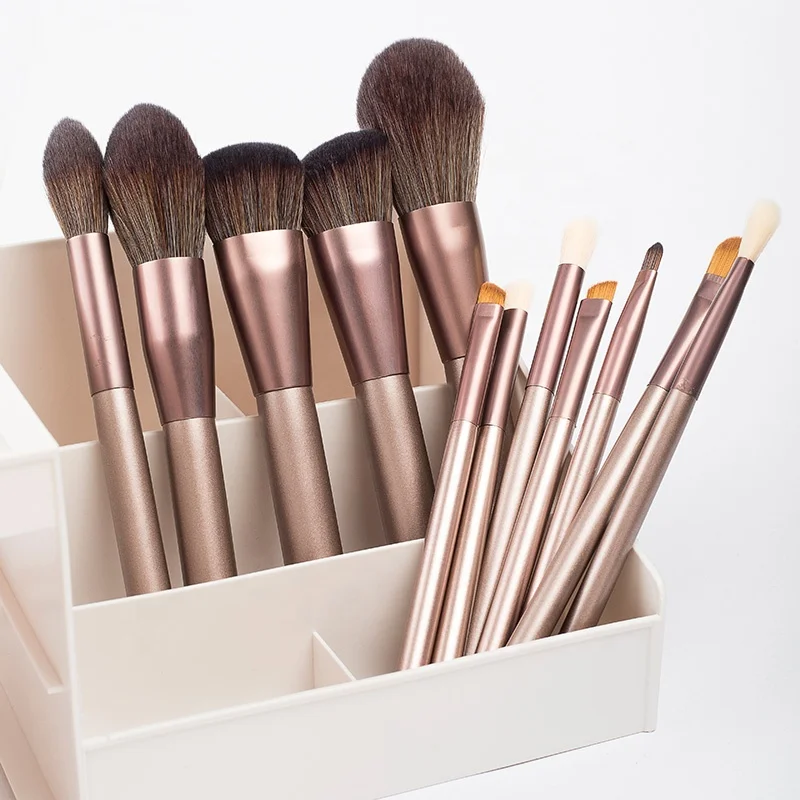 

ZH 12pcs Professional wool hair wood handle cosmetic makeup brush set, Brown