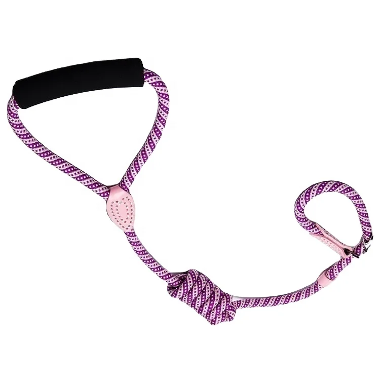 

Free Samples 2021 Trending Rope Dog Leash With O Ring