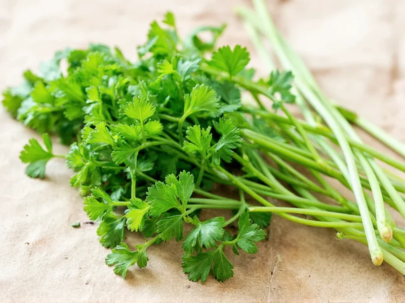 Best Substitutes for Coriander: Seeds and Cilantro Replacements