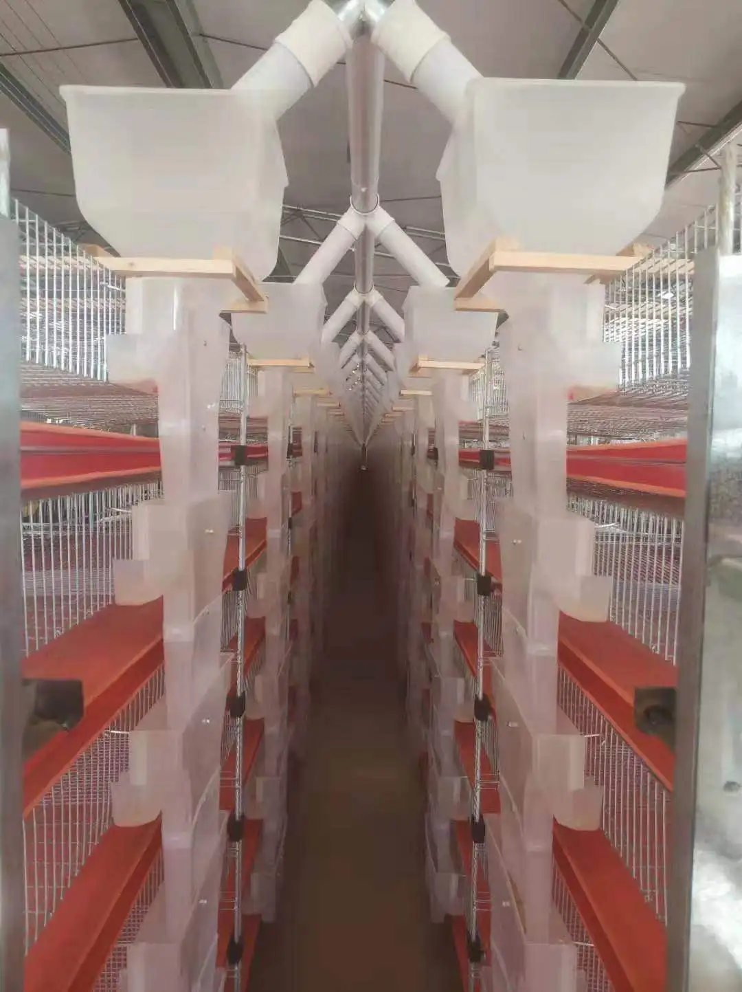 Low Price Manual H Type Quail Cage Buy Quail Breeding Cages,Layer