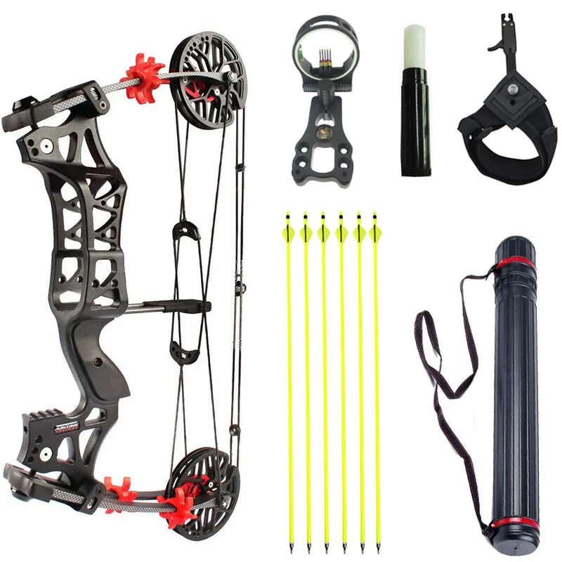 

M109E Compound Bow for shooting Archery Hunting Bow 30-60lbs Aluminum Riser Laminated Limbs Outdoor Hunting Bow & Arrow