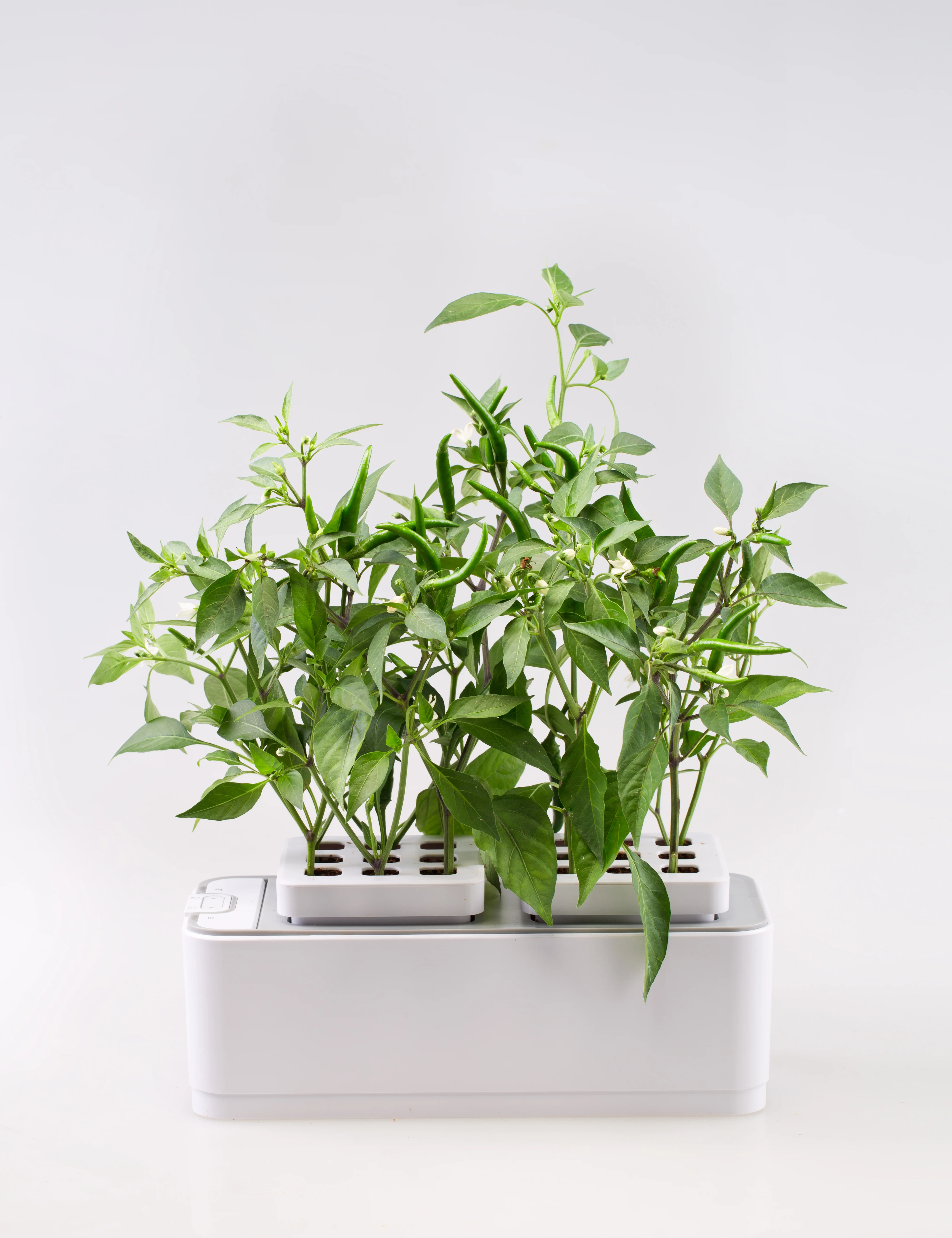 

indoor Garden supplies wholesale hydroponics grow system indoor, White