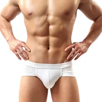 

Hot Selling Wholesale Comfortable Man Briefs Sexy Underwear Men