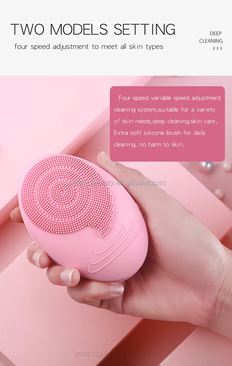 2 Aa Battery Powered Replaceable Sonic Silicone Facial Cleansing