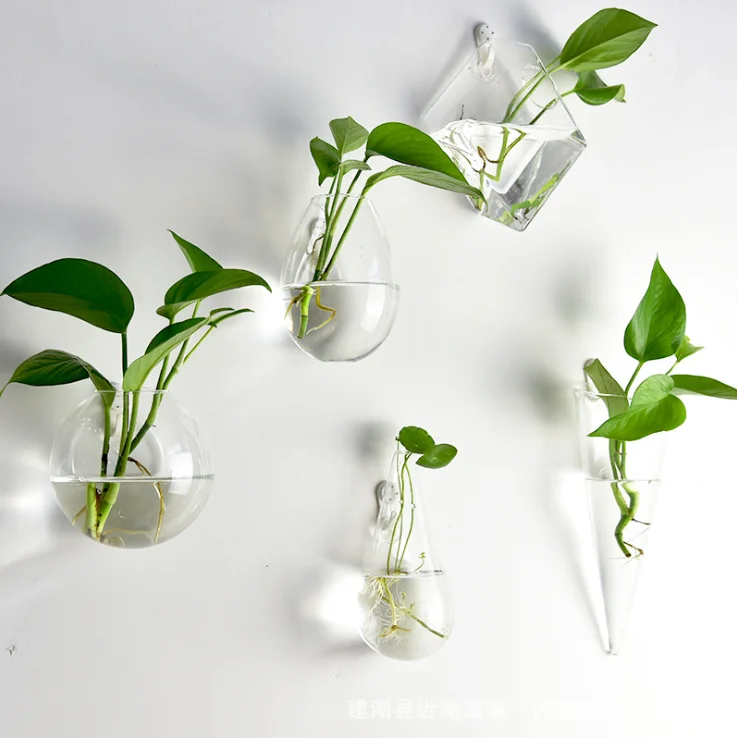 

wall hanging glass vase glass hanging terrarium, Clear