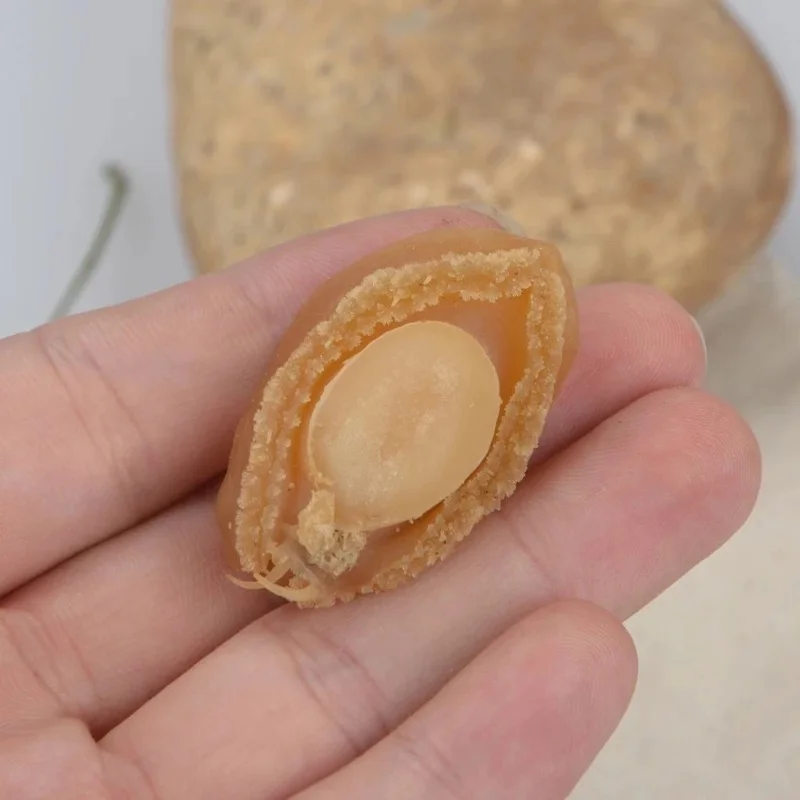 
Hot-selling Nutritious fresh live shellfish Dried Abalone 