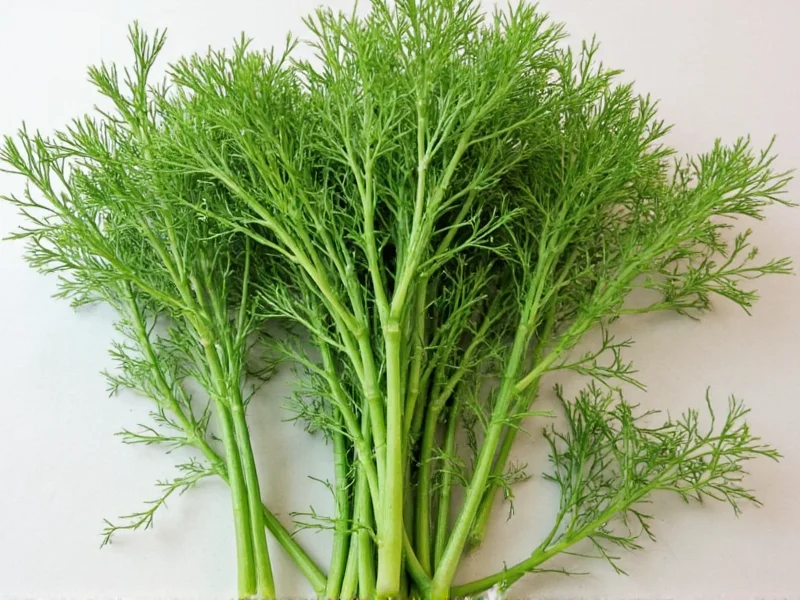 Dill vs Fennel: Clear Differences Explained