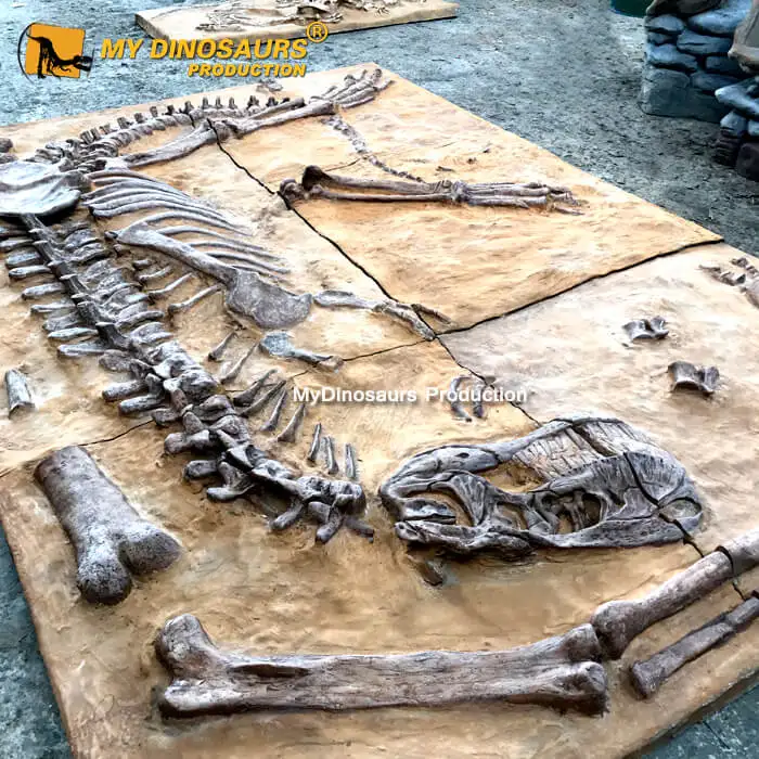 V Replicas Dinosaur Fossils For Excavation Site Buy Dinosaur Fossils