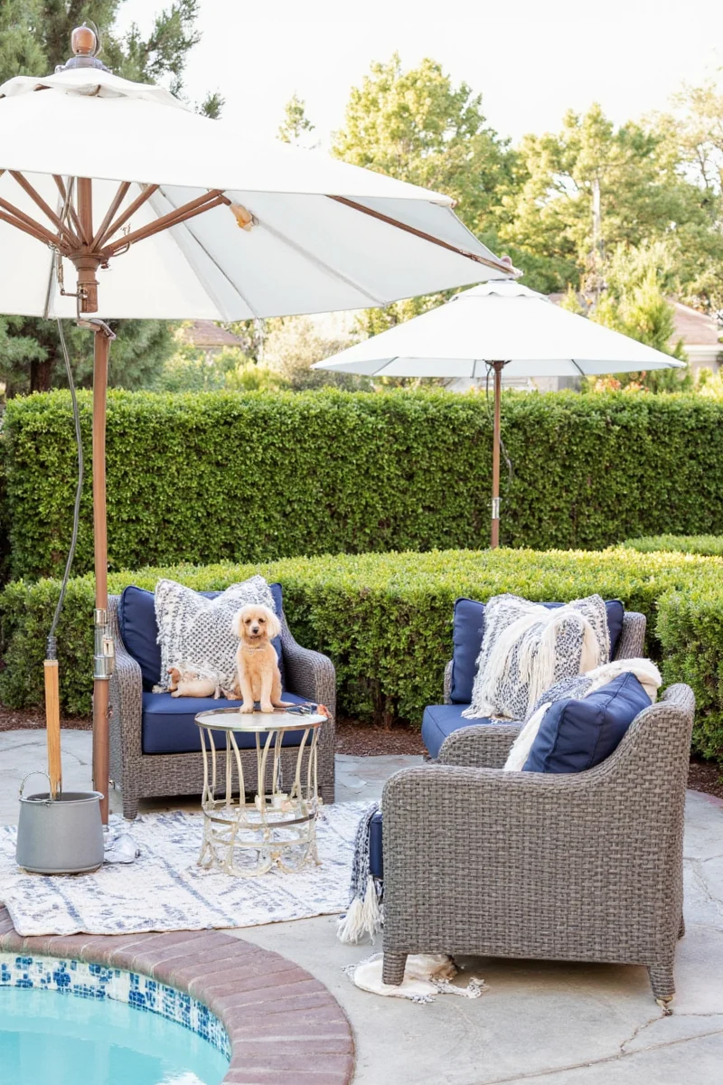 paws parasols designing a pet integrated outdoor patio that s both stylish and pet friendly