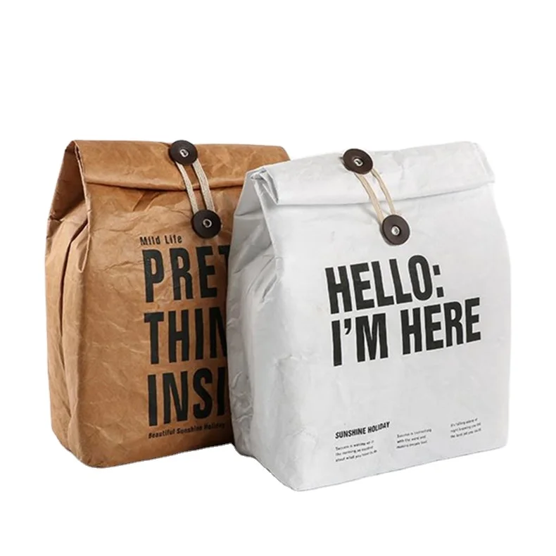 

Custom With Logo Waterproof Dupont Kraft Paper Pouch Picnic Lunch Bag Thermal Insulated Tyvek Cooler Bags For Food