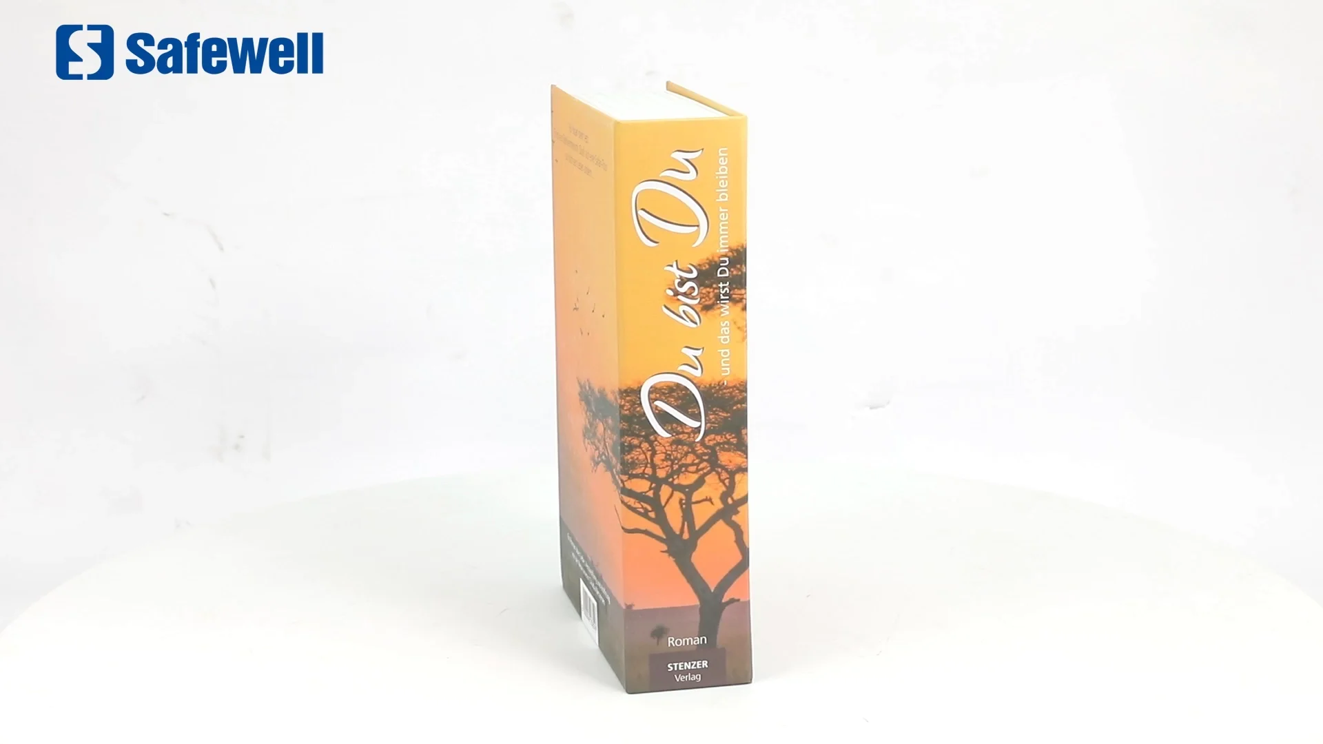 Safewell Bs0101k Dictionary Book Safe With Key Lock Secret Safe Box