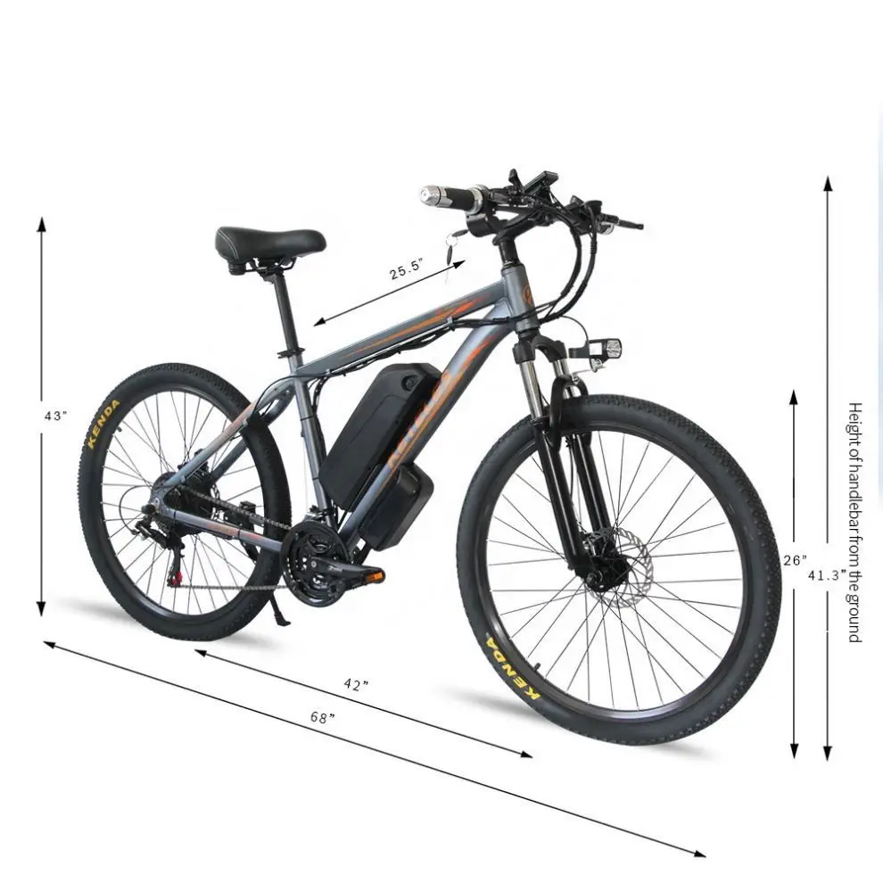 

New Model 14 Inch Fat Tire E Bike 48V 350W Electric Bike Bicycle