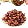 WholesalePeanut Kernel Salted Canned Peanuts