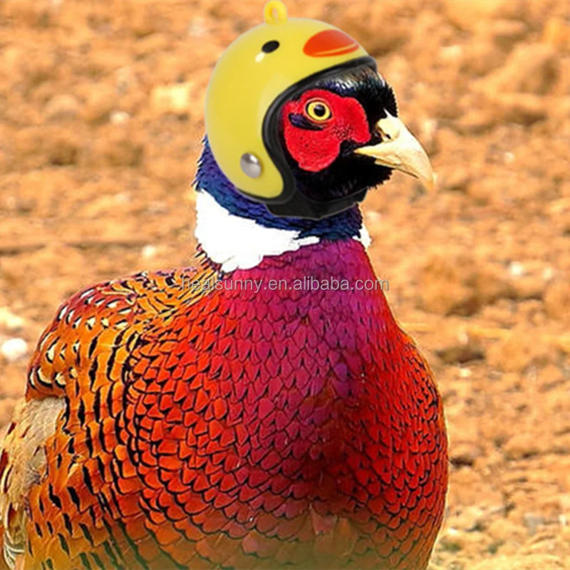 

Wholesale Funny Compact Bird Hat Headgear Poultry Accessories Helmet Head Protection Hard Hat Pet Helmet