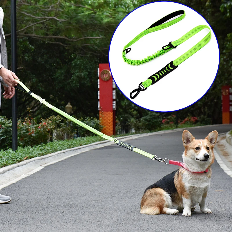 

Car Seatbelt Carabiner Bungee Hardware Accessories Multifunction Designer Lead Waterproof Retractable Pet Dog Leash