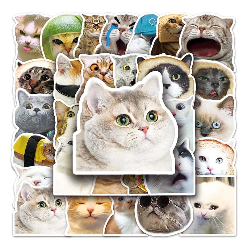 50Pcs Factory Outlet Sale Animal Cute Cartoon Cat Memes Stickers Pack For Guitar Suitcase Motorcycle Waterproof Decoration Label