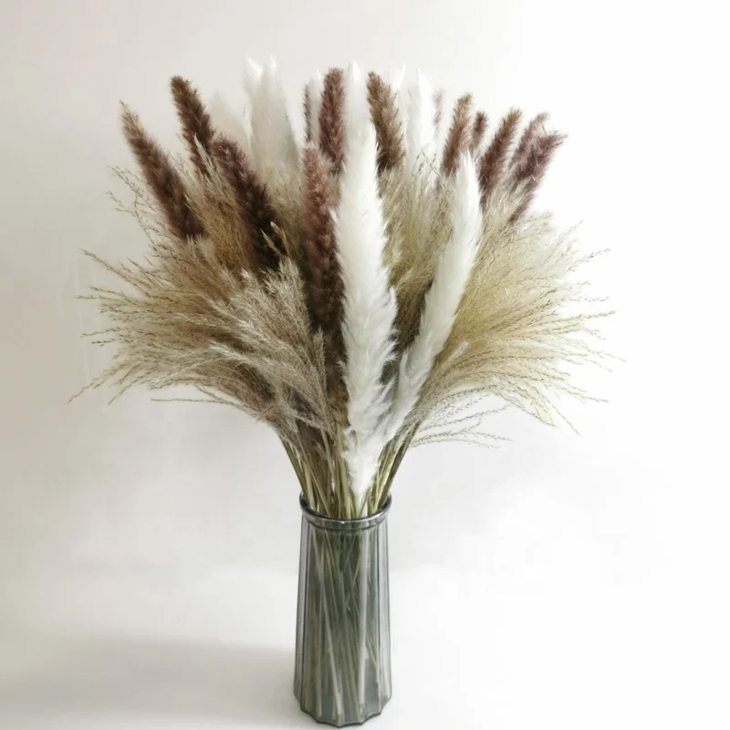 

Dekoration Reed Natural Dried Small Pampas Grass Phragmites Artificial Plants Wedding Flower Bunch For Home Decor, Gray/white/pink/more/black
