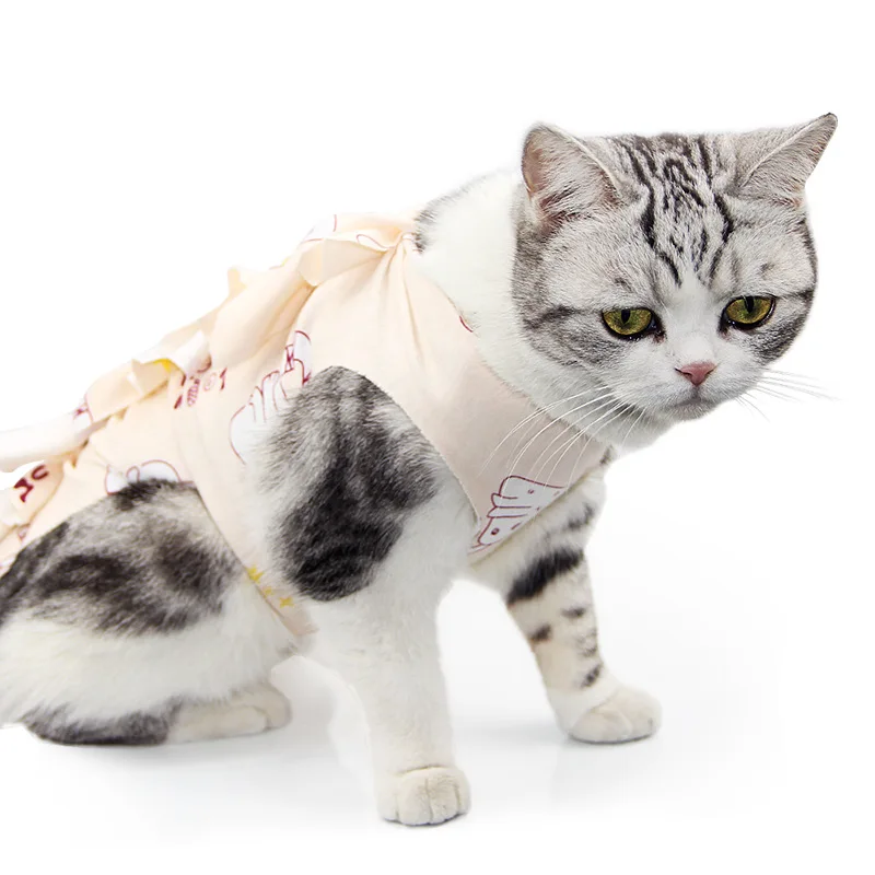 

Wholesale Cheap Cotton Pet Clothing Cat Clothes Bandage Recovery Suit Cat Accessories Amazon Hot Selling, Picture