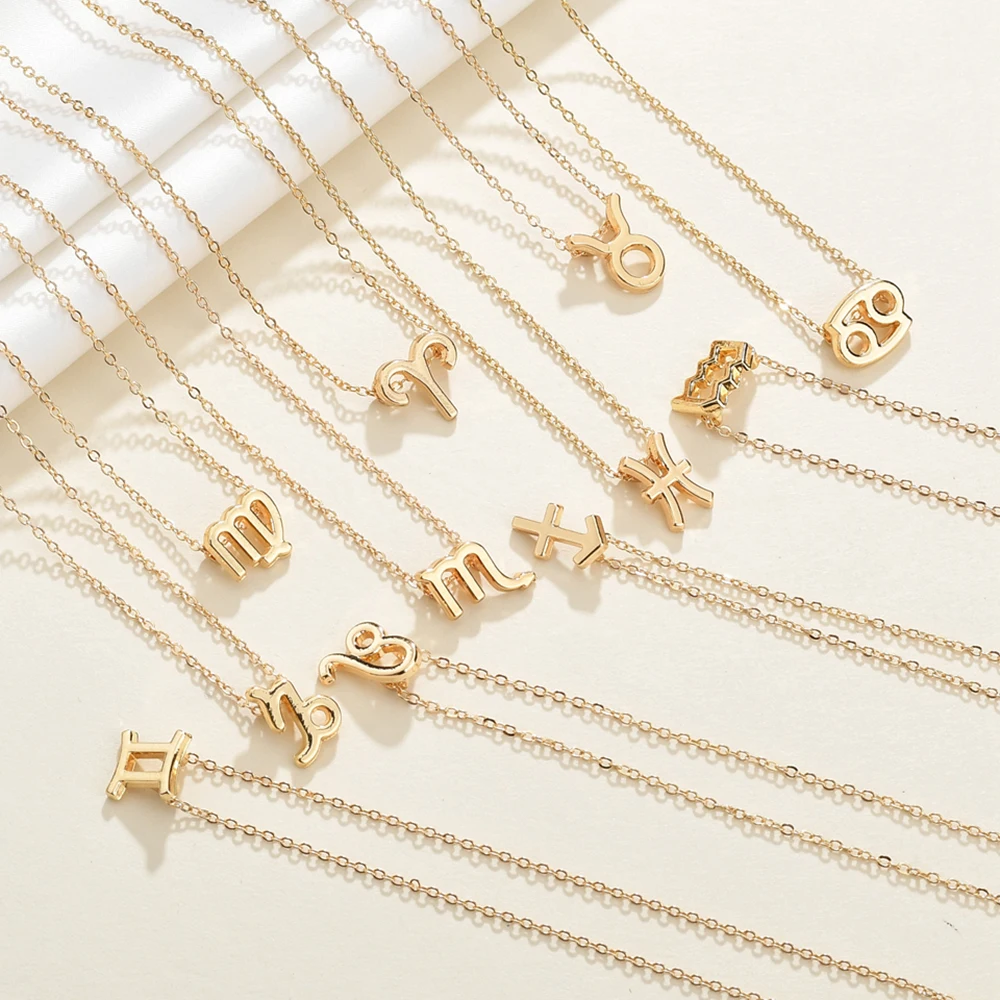 EManco New Women's 12 Horoscope Zodiac Sign Aries Constellations Pendant Necklace Trendy Link 14K Gold Plated Stainless Steel
