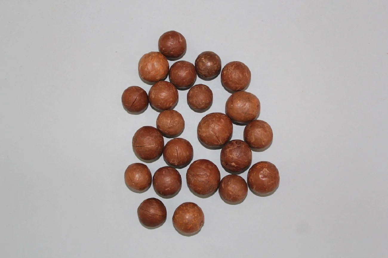 Macadamia Nuts For Sale Buy Macadamia Nuts Price Macadamia Macadamia Nuts Kernel Macadamia
