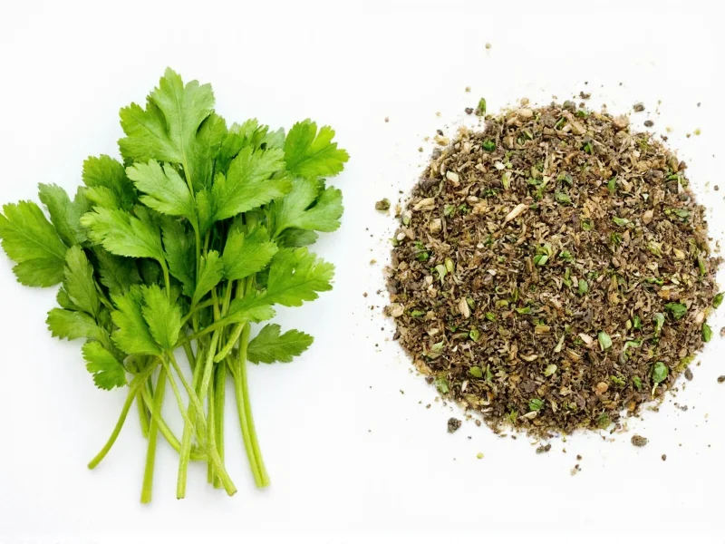 Fresh Cilantro vs Dried: Key Differences & When to Use Each