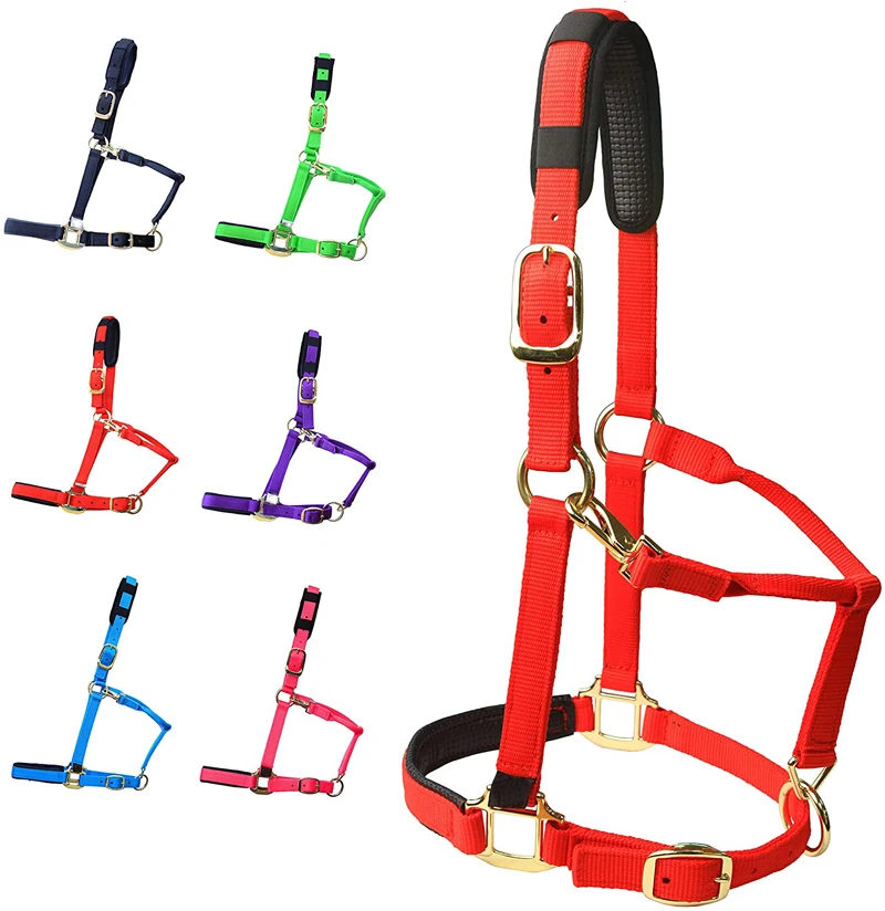 

Wholesale Equestrian Products Hors Halters Long Lasting Fine Horse Halter Manufacturer High Quality for Horses