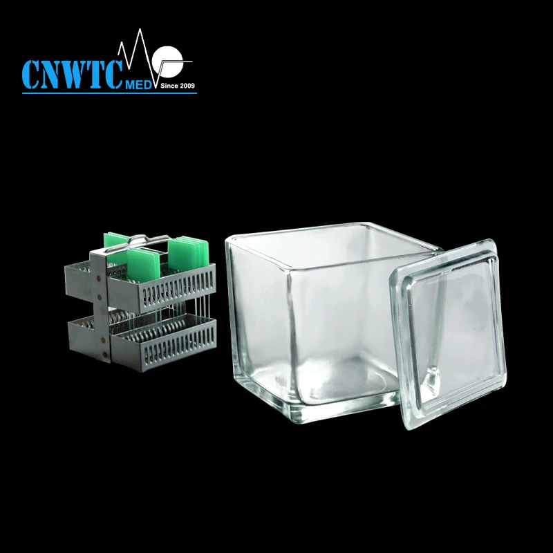 Cnwtc Lab Supplies 30 Place 60 Place Microscope Slides Glass Staining