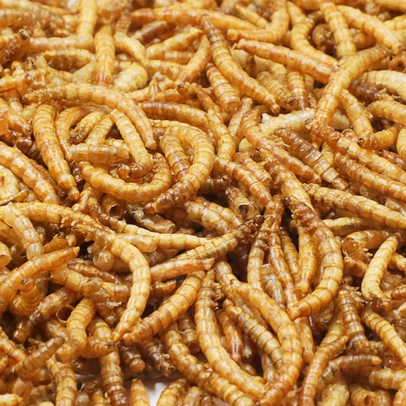 
Dried mealworms for poultry and livestock bird food pets food bird meal pets meal 