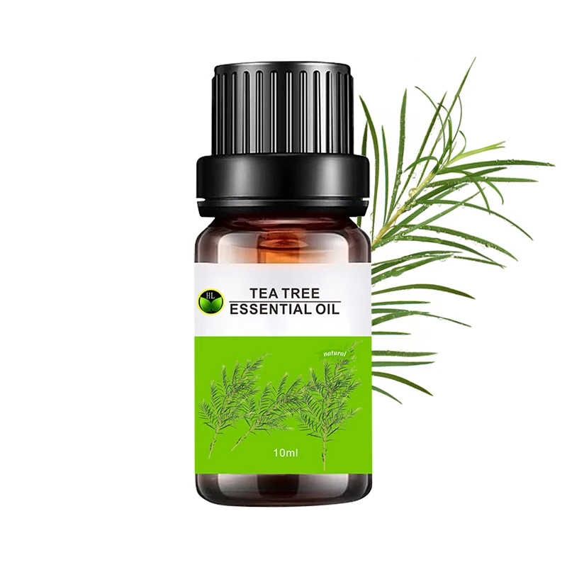 

Orangic Wholesale 100% Pure Natural Tea Tree Essential Oil for skincare products bulk price single bottle 10ml