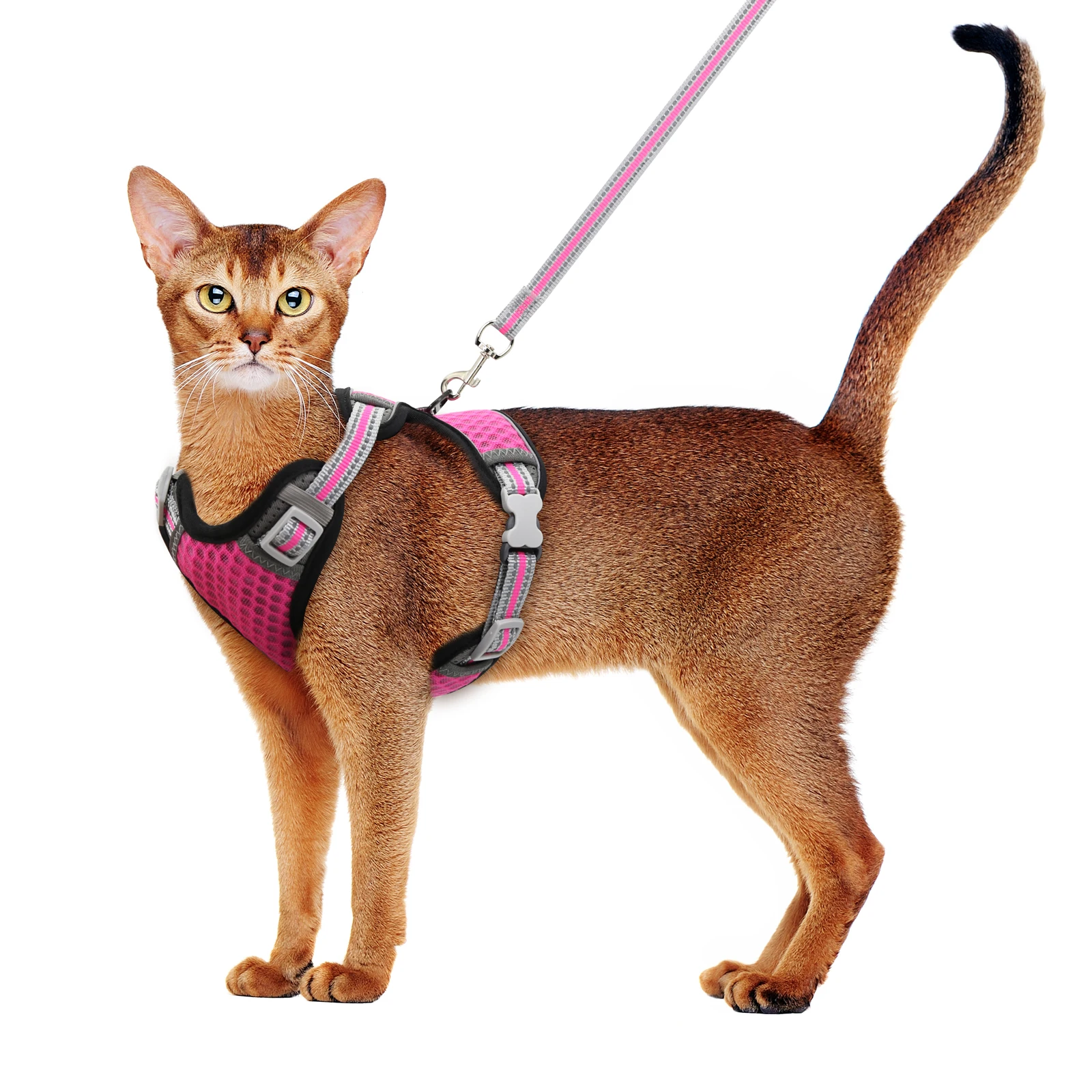 

wholesale best price newly style cat harness vest cat chest back adjustable cat harness with leash set, Picture