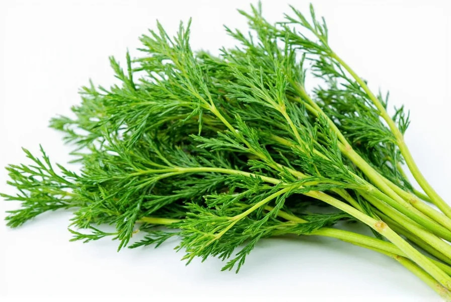 Dill Leaves in a Bowl