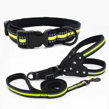 dog collar belt online