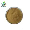 Best Chinese high quality low price instant black tea powder extract for carbonated drinks and beverage