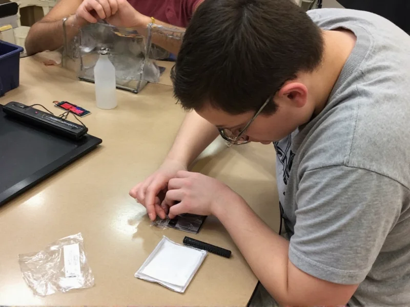 Student assembling small solar panel for science project
