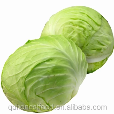 
Factory price fresh green cabbage from own planting base 