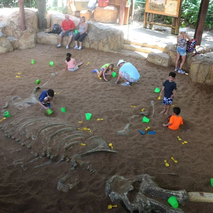 

theme park dinosaur skeleton excavation kit, Original or customized